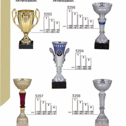 Trofeo de Participación Línea P