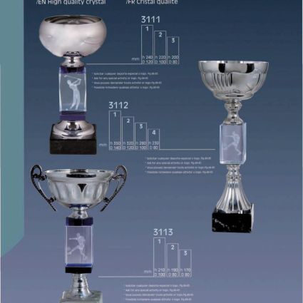 Grabado Láser 3D Trofeo