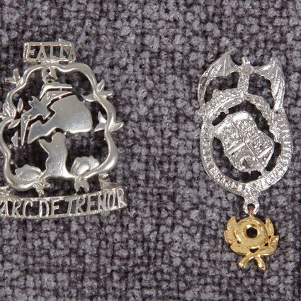 Insignia joyeria
