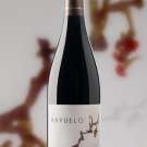 RAYUELO 2007